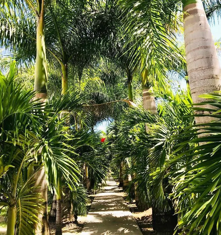 East Keys - East Cottages Le Vauclin Holiday park